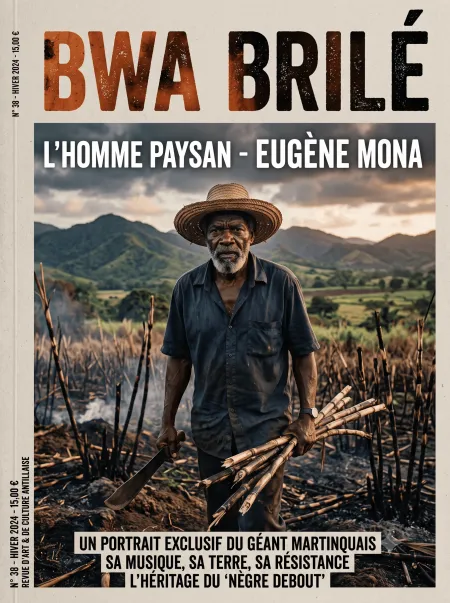 Couverture — Dire le sacré en société animiste : Bwa brilé d’Eugène Mona